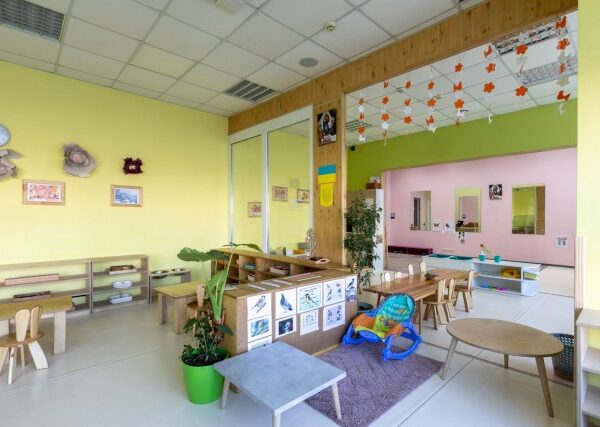 Учебный год 2022